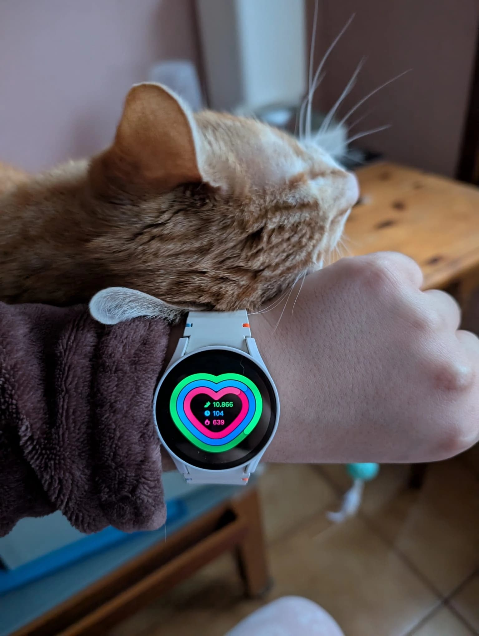 A challenge that makes us feel alive